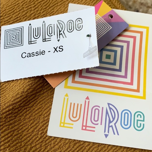 Lularoe the Cassie skirt - Picture 2 of 4